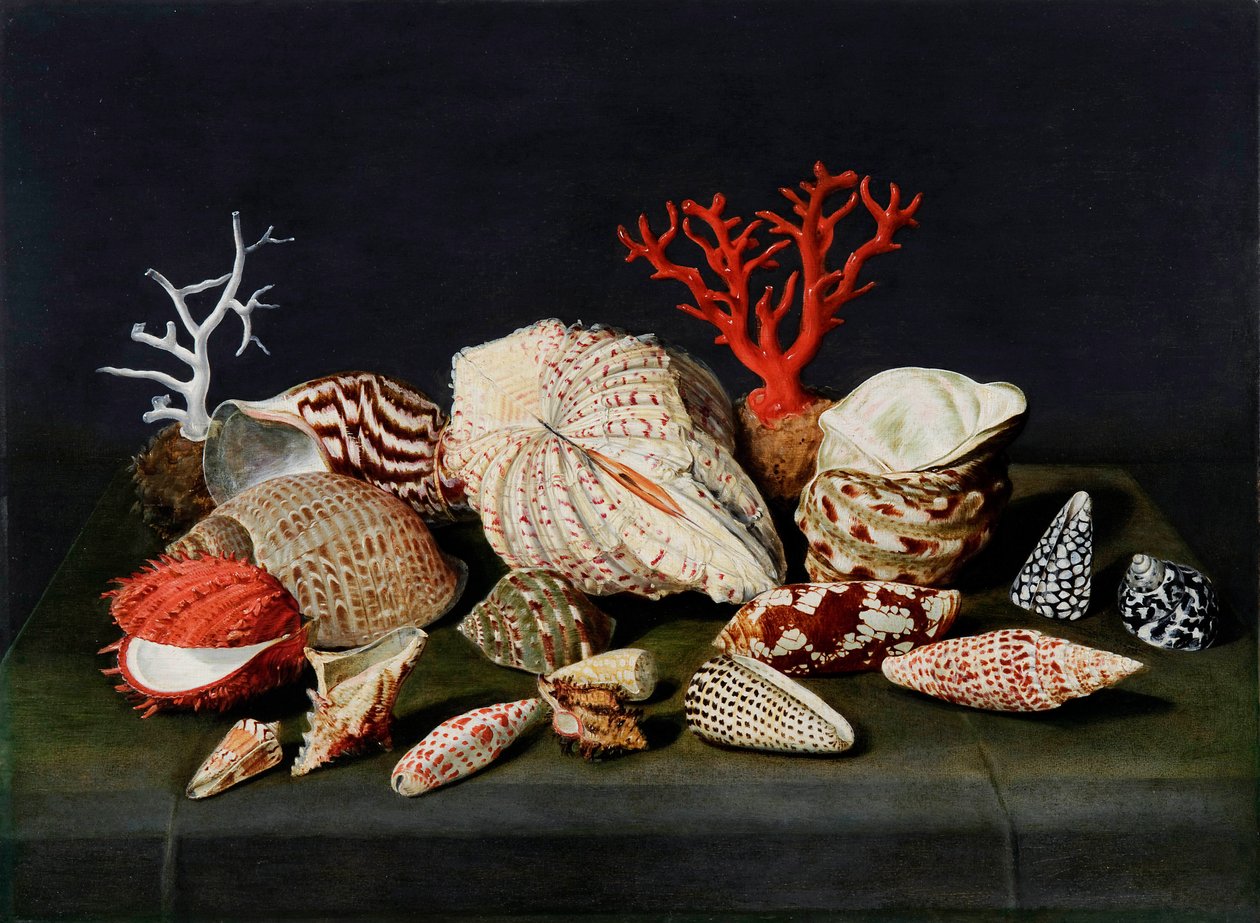 "Nature morte aux coquillages et coraux" (貝殻と珊瑚のある静物) Peinture de Jacques Linard (1597-1645), - Oil on wood, 47x64 - Fondation Custodia 作： ジャック・リナード
