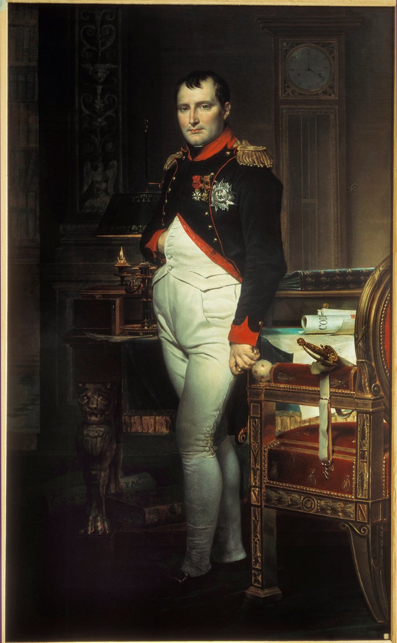 【高品質】 ナポレオン 1 世 (1769-1821) の全身肖像画、チュイルリー美術館 絵画