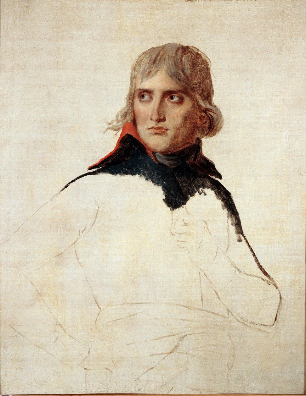 全身のナポレオン・ボナパルトの未完の肖像 - 油彩・キャンバス、1798年頃 作： ジャック・ルイス・デビッド