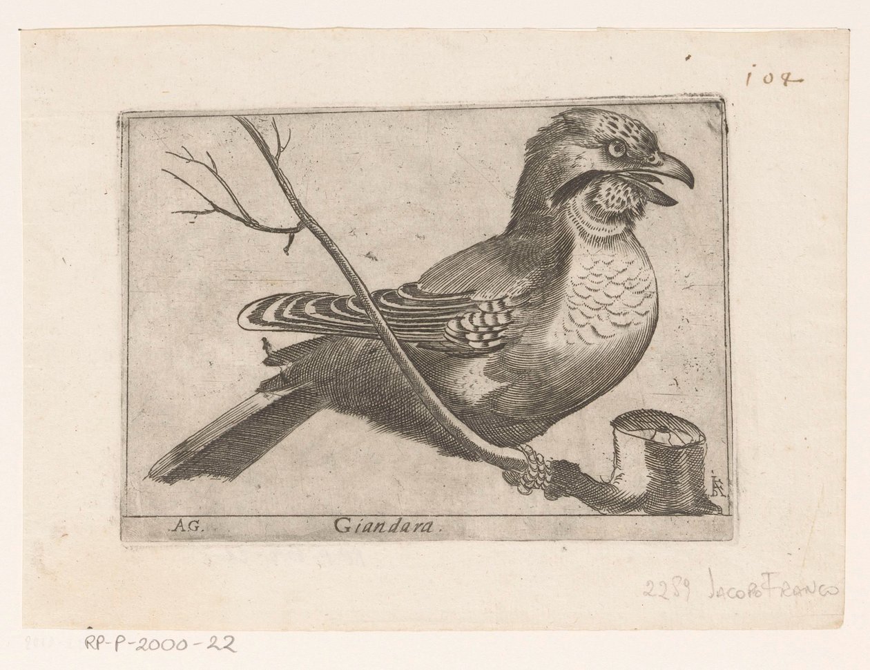 カケス (Garrulus grandarius) Giandara (オブジェクトのタイトル) 鳥（シリーズタイトル） 作： ジャック・デ・フォルナゼリス