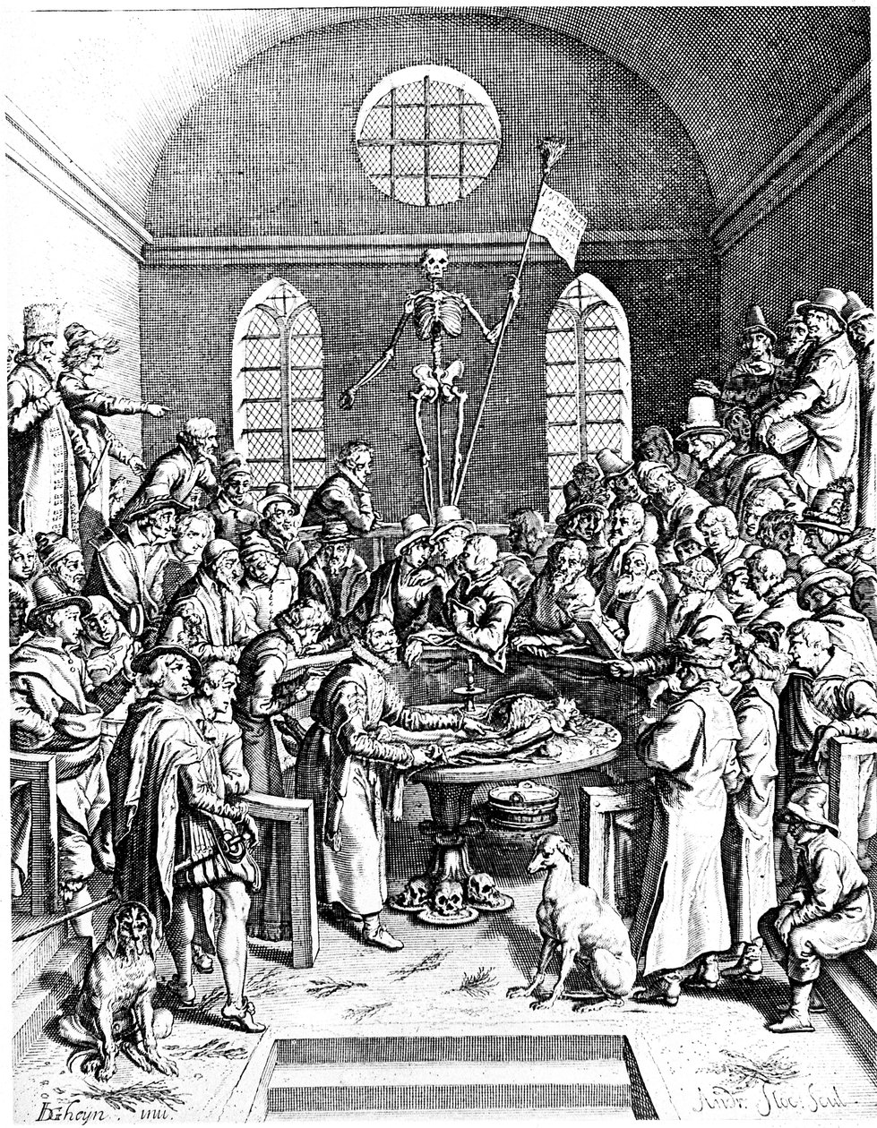 1633年代後半の解剖学劇場、ジャックドゲヒン長老、1633年 作： ジャック・ド・ゲイン・エルダー
