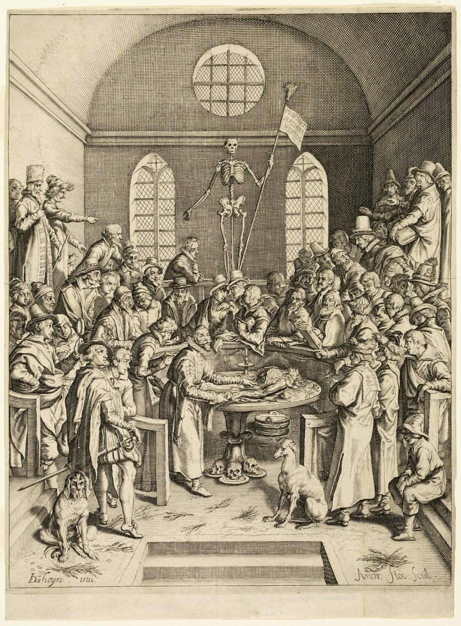 パウ教授の解剖学レッスン 作： Jacques de Gheyn II