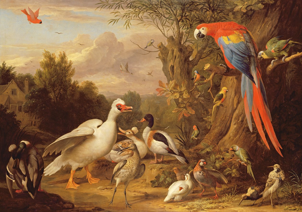 風景の中のコンゴウインコ、アヒル、オウム、その他の鳥、c.1708-10 作： ヤコブ・ボグダニまたはボグダニ