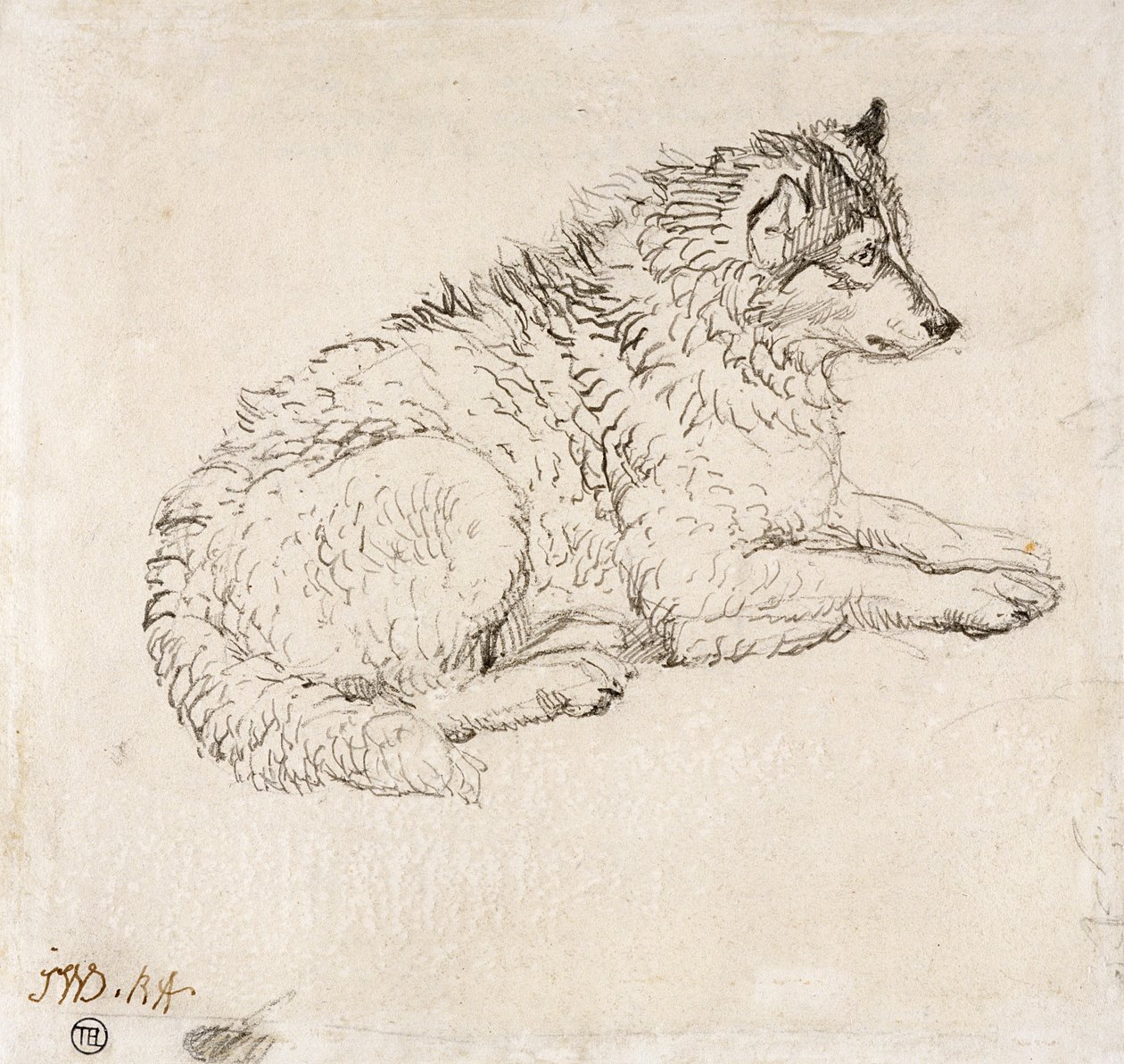 北極犬、右向き 作： ジェームズワード