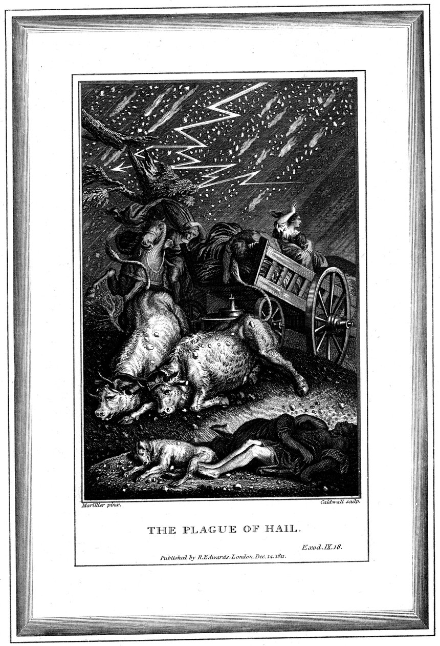 雨とあられの疫病、エジプトの7つの疫病の1つ、c1759〜c1789 作： ジェームズ・コールドウォール
