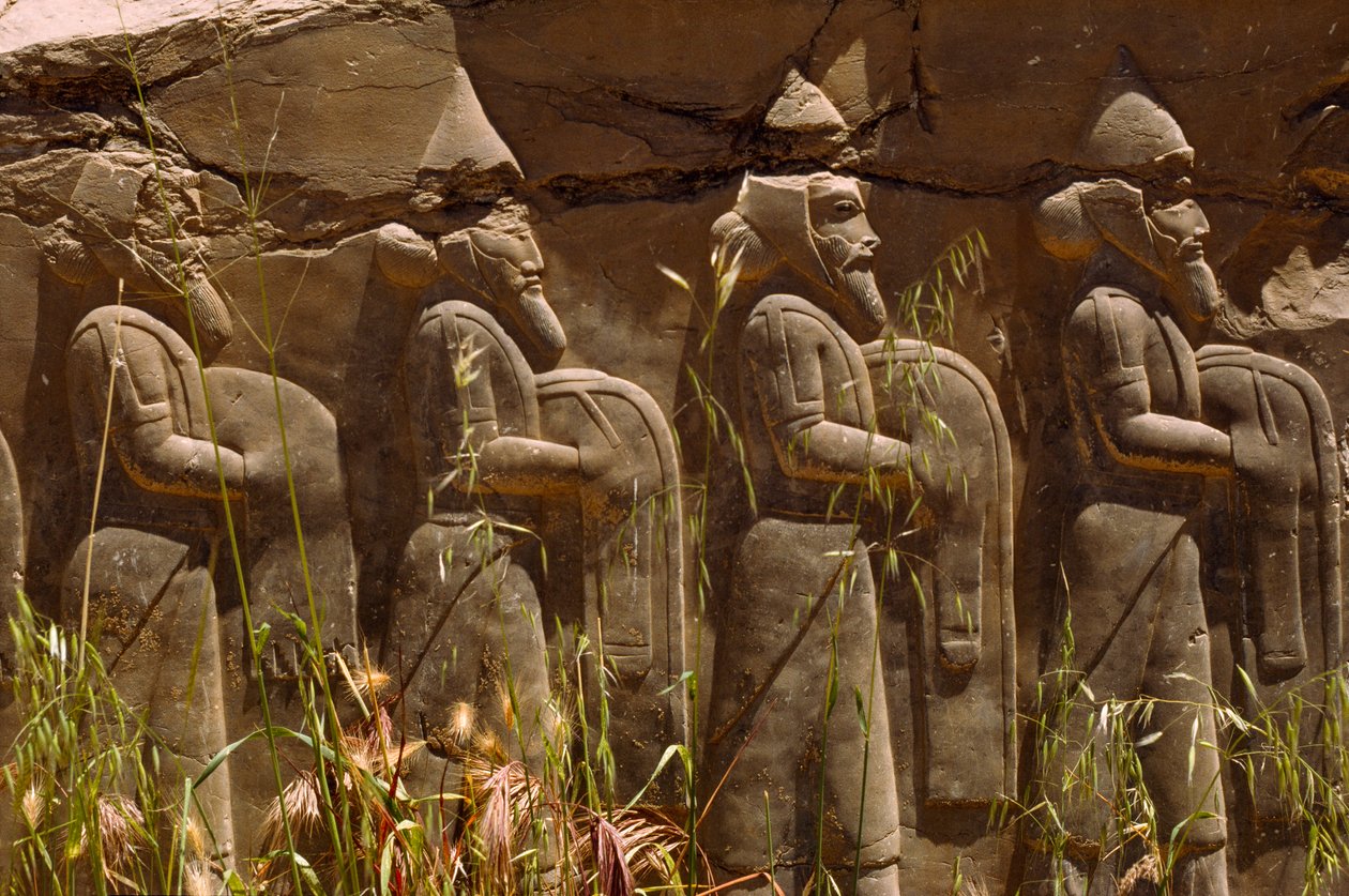 ペルセポリスの入り口にある古代ペルシャ戦士の浮き彫り。イラン、ペルセポリス。 作： ジェームス・L・スタンフィールド