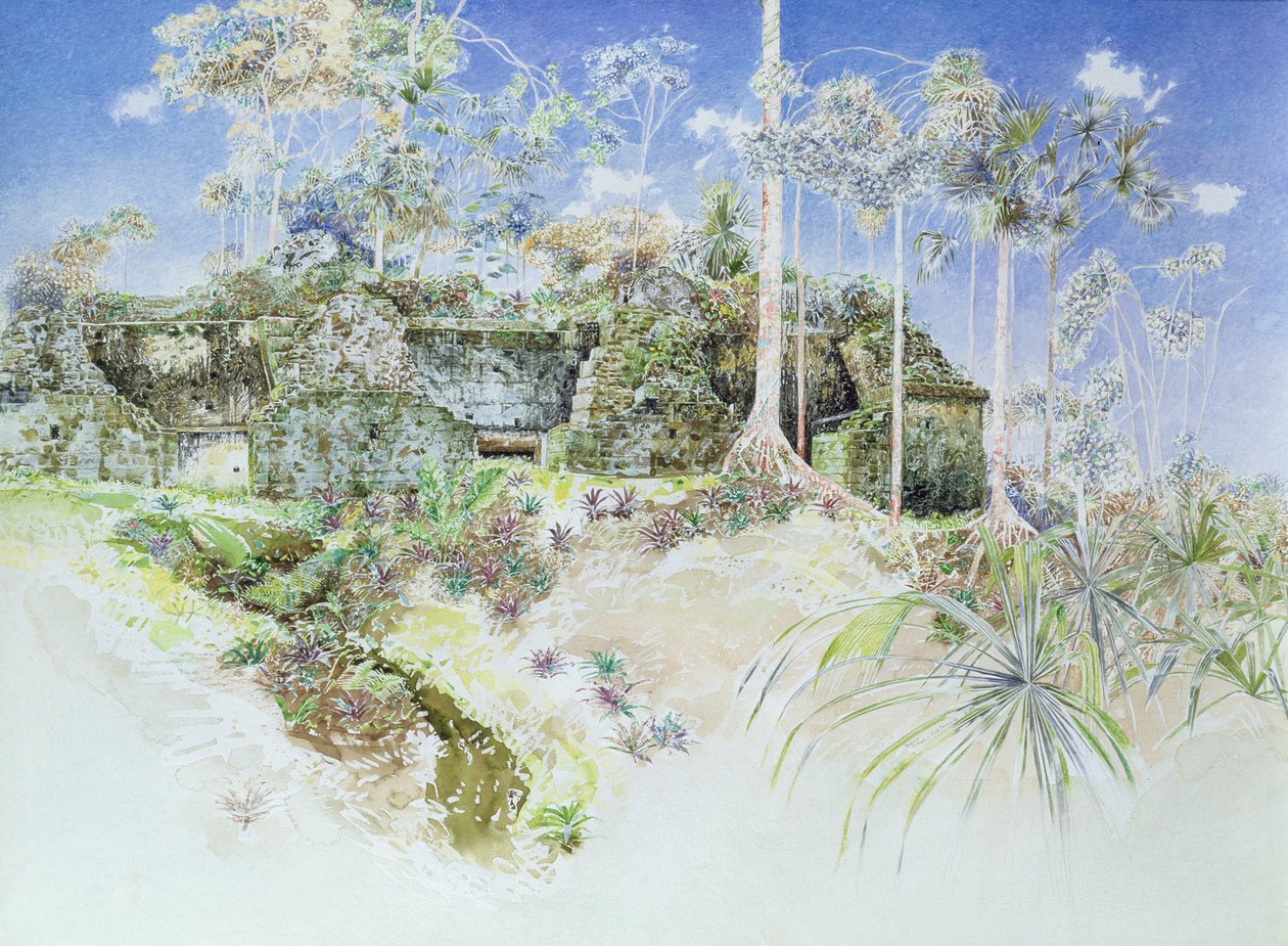 台無しにされた寺院、ティカル、グアテマラ、1984（紙にトイレ） 作： ジェームス・リーブ