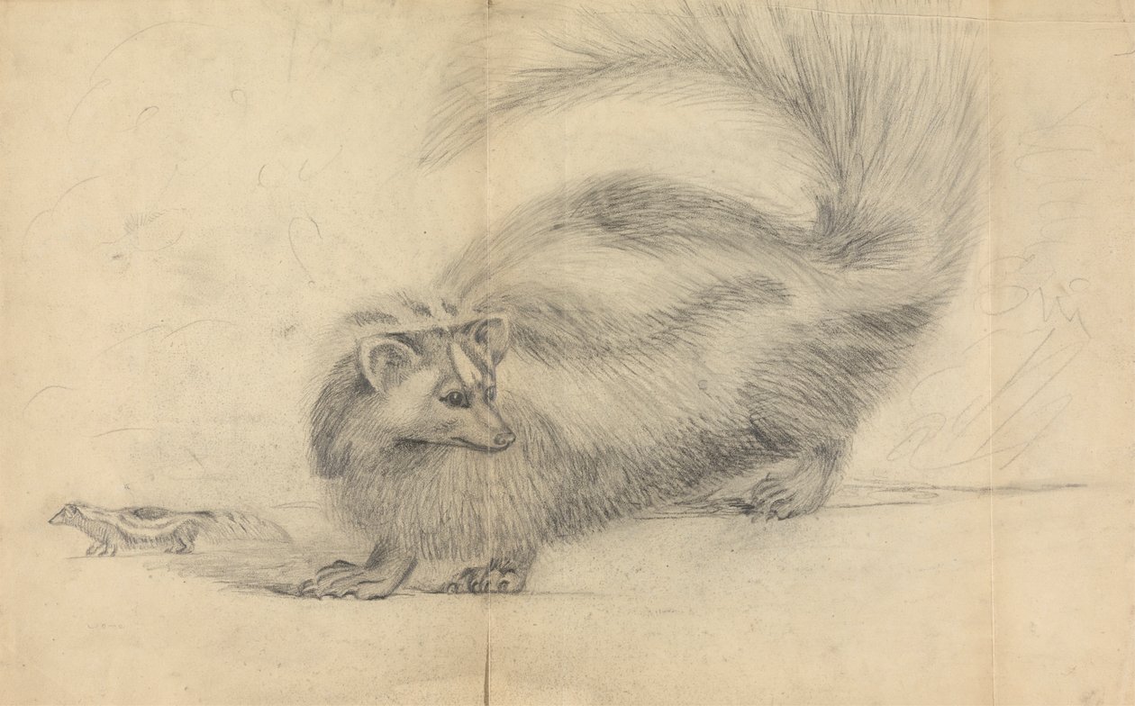 A skunk with another skunk in the background   1434258   ja       japanese Successfully Translated  Original: French soldiers in combat, Franco-Prussian War Translat: French soldiers in combat, Franco-Prussian War 1440834 ja japanese Successfully Translate 作： ジェームズ・サワビー