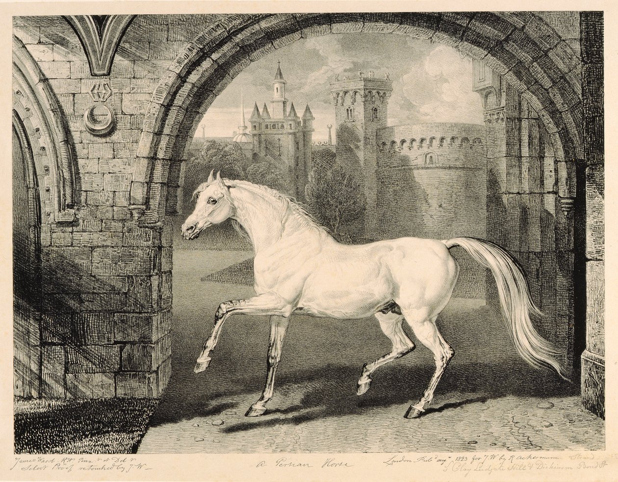 アーティストから出版された14枚のレーシングプリントのセット「Celebrated Horses」からのペルシャ馬、1823-24 作： ジェームズワード