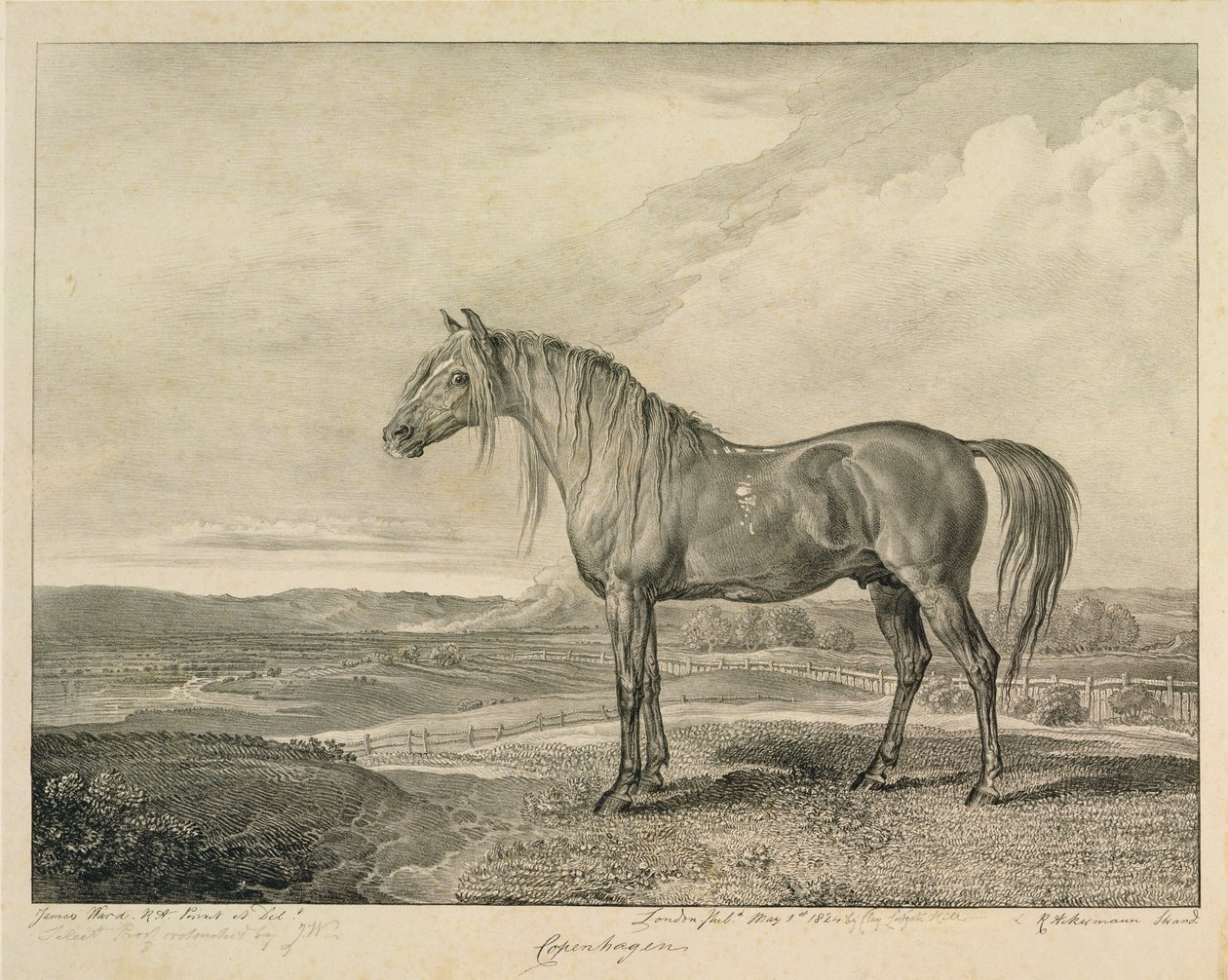 コペンハーゲン、アーティスト、1823-24によって発行された14枚のレーシングプリントのセット「Celebrated Horses」から 作： ジェームズワード