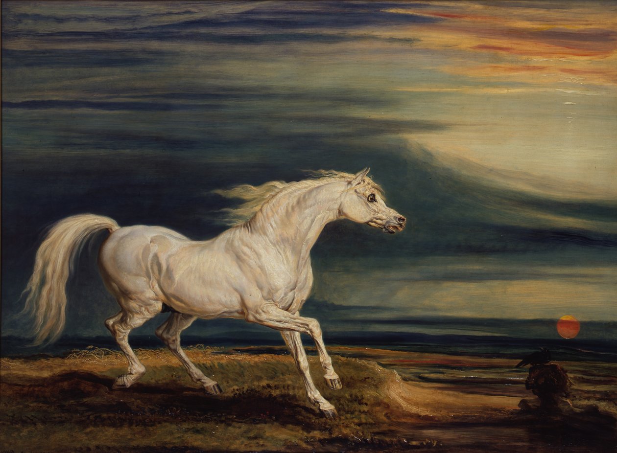 ワーテルローの戦いでナポレオン・ボナパルトが乗ったアラブの騎兵