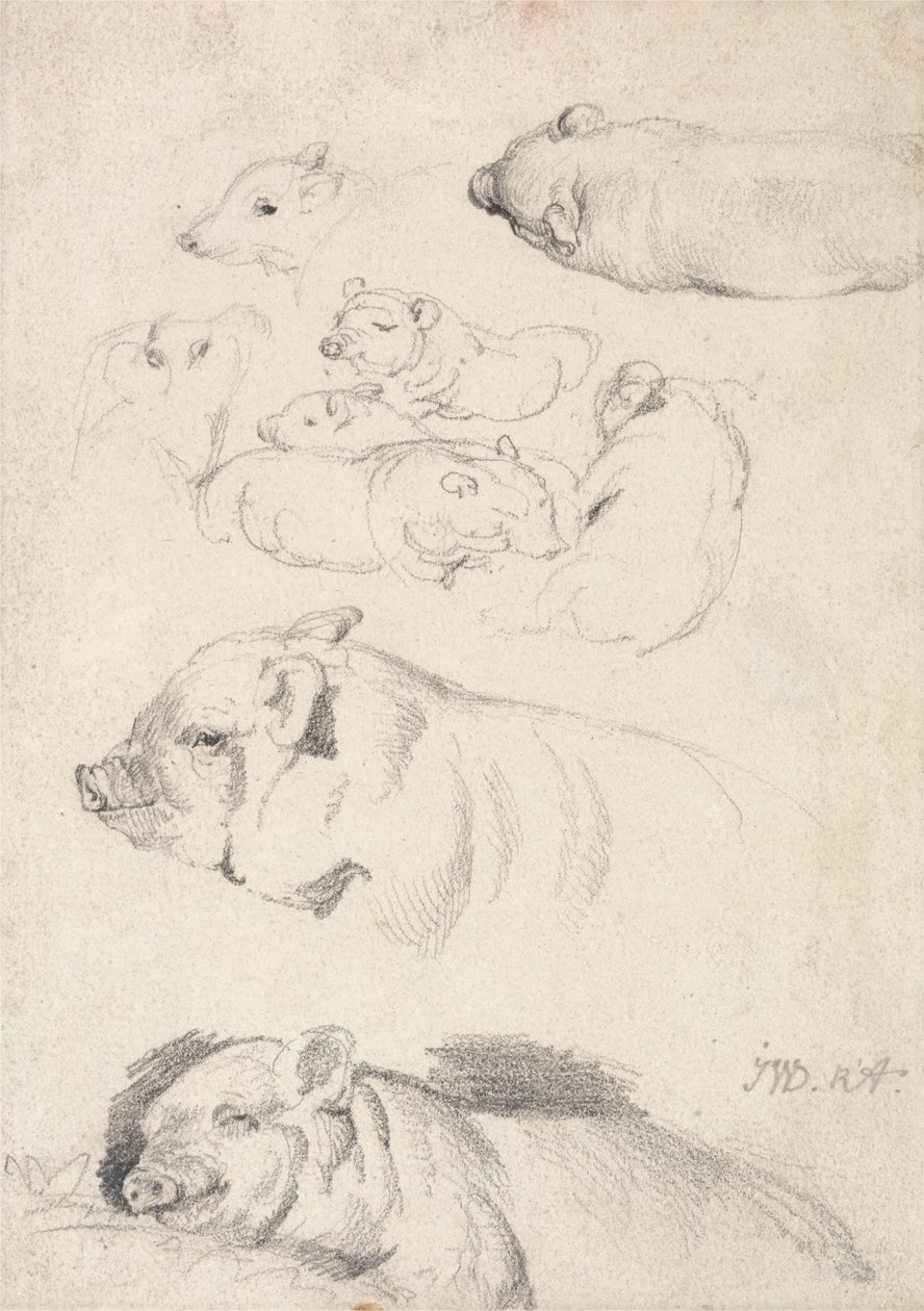 Studies of Pigs   1435600   ja       japanese Successfully Translated  Original: King Edward VII in coronation robes Translat: King Edward VII in coronation robes 1463020 ja japanese Successfully Translated Original: Leisurely Copying The Ancients (ink and 作： ジェームズワード