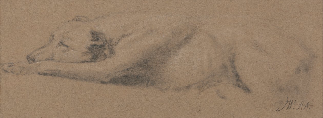 Tutkimus nukkuvasta koirasta 作： ジェームズワード