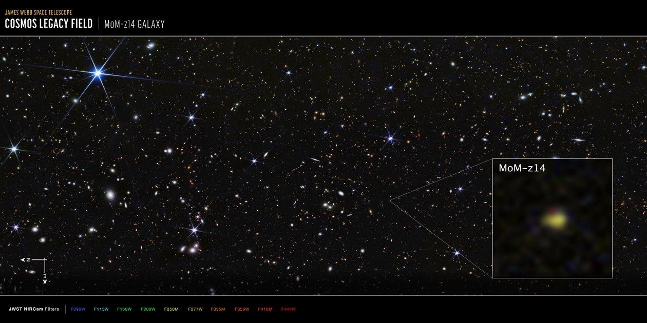 COSMOS領域のMoM-z14銀河（NIRCam画像） 作： ジェイムズウェッブ宇宙望遠鏡（NASA）