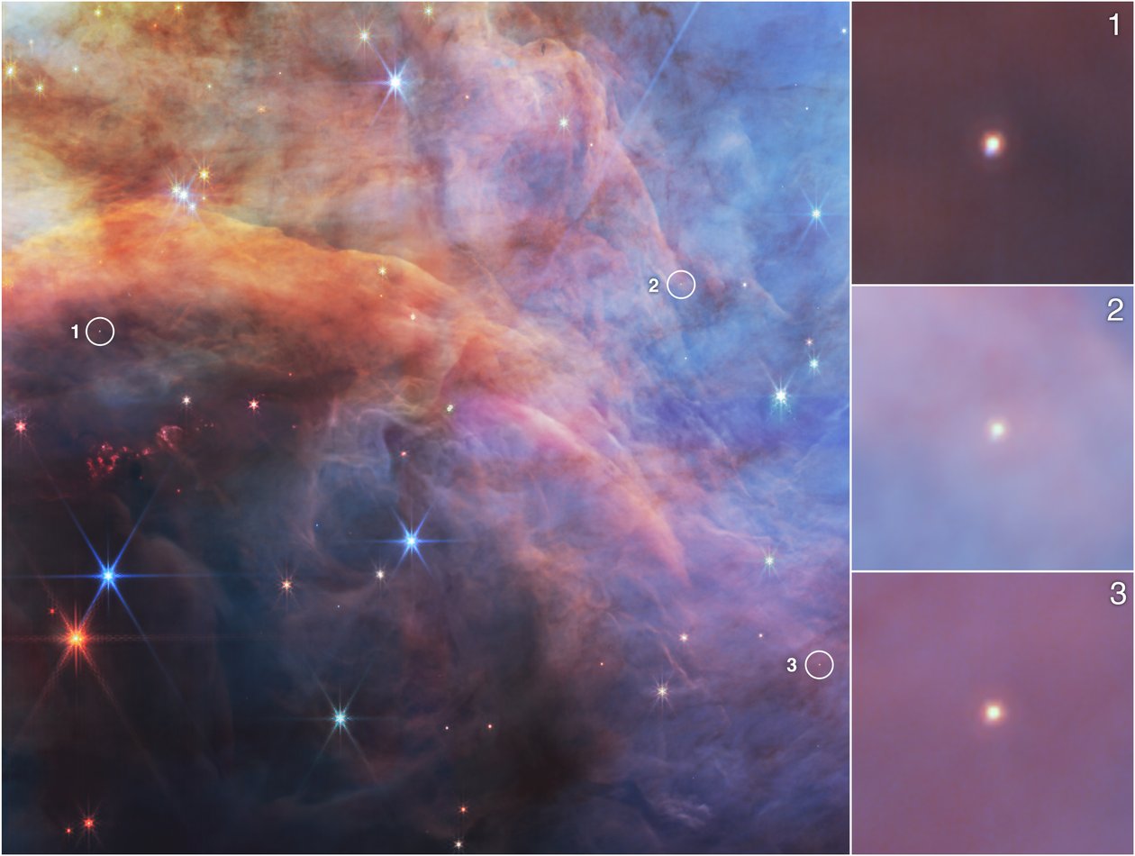 フレーム星雲内の低質量天体（NIRCam画像） 作： ジェイムズウェッブ宇宙望遠鏡（NASA）