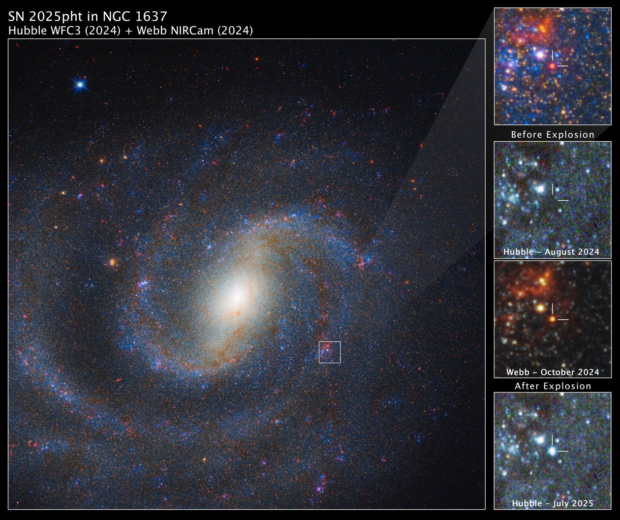 NGC 1637内のSN 2025pht 作： ジェイムズウェッブ宇宙望遠鏡（NASA）