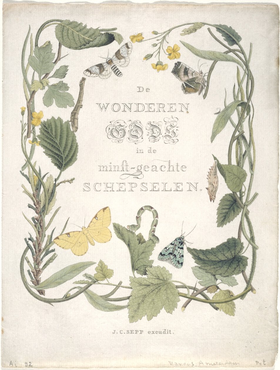 Nacht-Vlinders van&39;t Eeerste The Der Eeerste Bendeファミリー。タブ。 III。、1762-1860 作： ヤン・クリスティアン・セップ