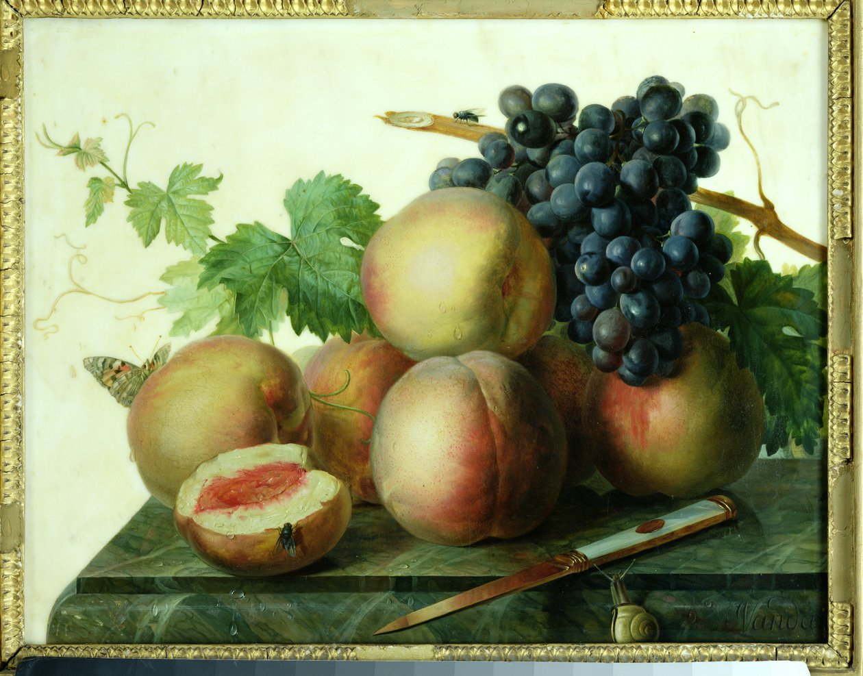 桃とブドウの大理石のある静物 作： Jan Frans van Dael