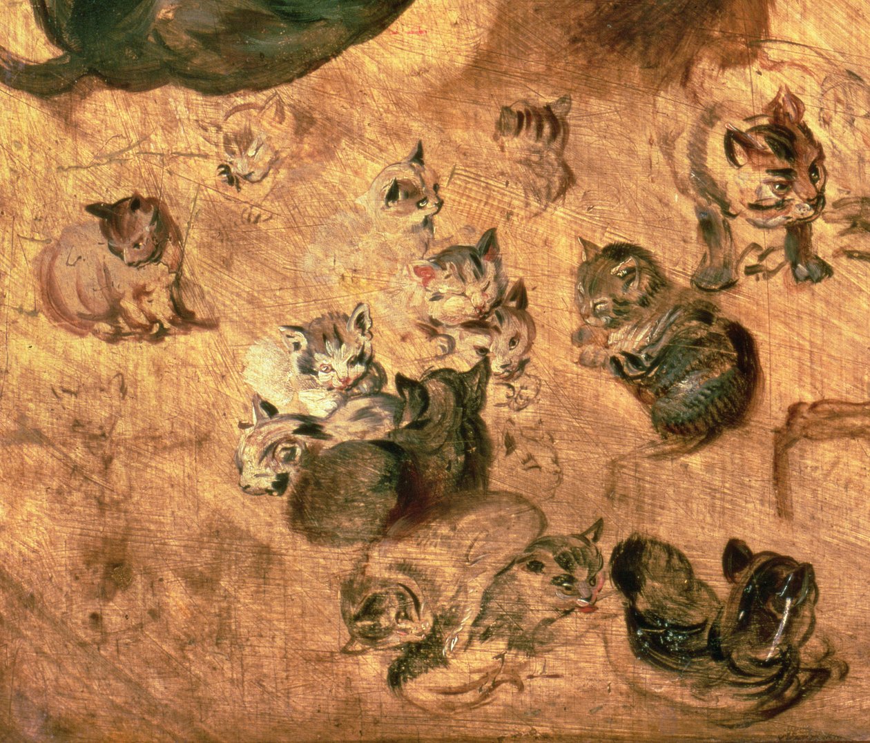 猫の研究、1616年（65879の詳細） 作： ヤン・ザ・エルダー・ブリューゲル