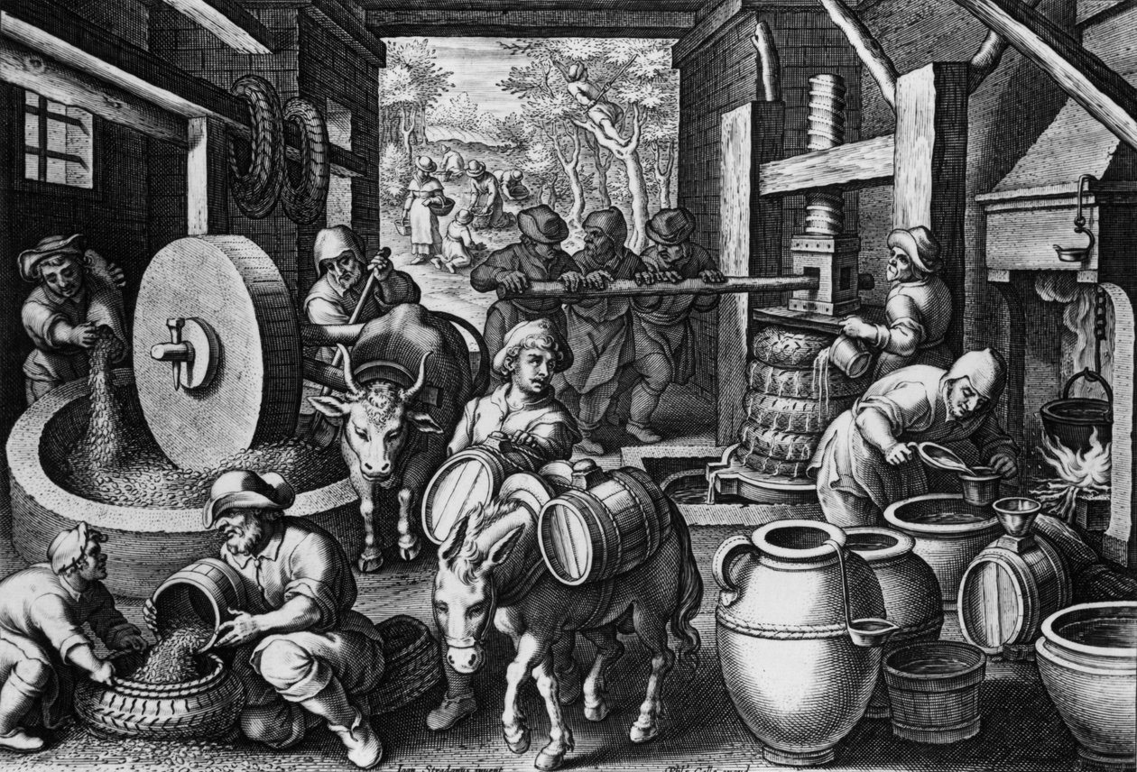 フィリップスガレ、1580年から1605年に刻まれたオリーブの油、プレート12 作： ヤン・ファン・デル・ストレイト
