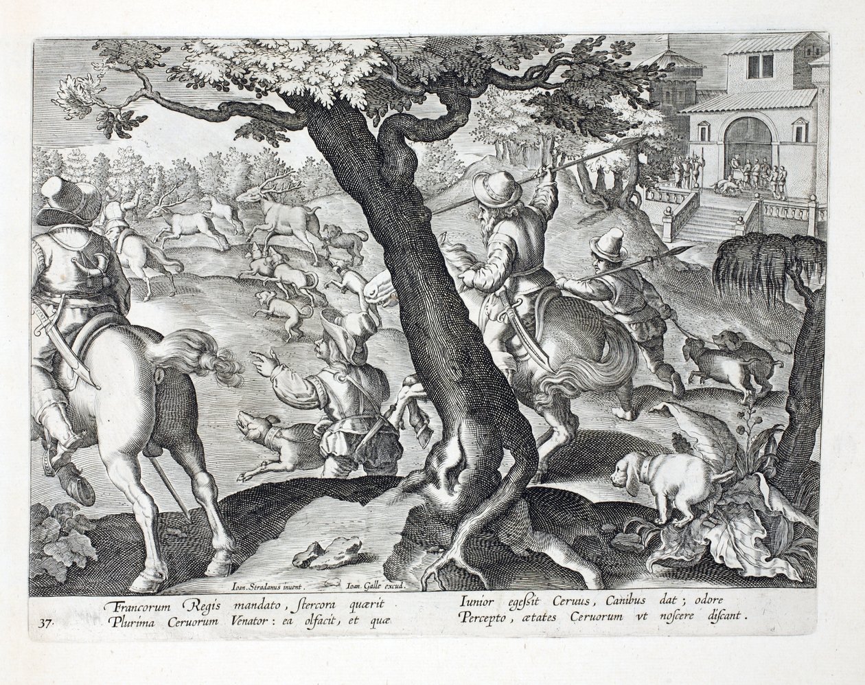 Jan Collaert（1566-1628）によって彫刻された &39;Venationes、Ferarum、Avium、Piscium&39;（Of Hunting：Wild Beasts、Birds、Fish）からのイラスト、犬と一緒のフレンチキングスタッグハンティング、パブ。フィリップス・ガレウス 作： ヤン・ファン・デル・ストレイト