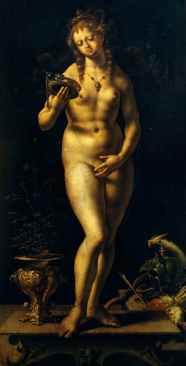 ヴィーナス（油彩・パネル 作： ヤン（c.1472-c.1533）ゴサート