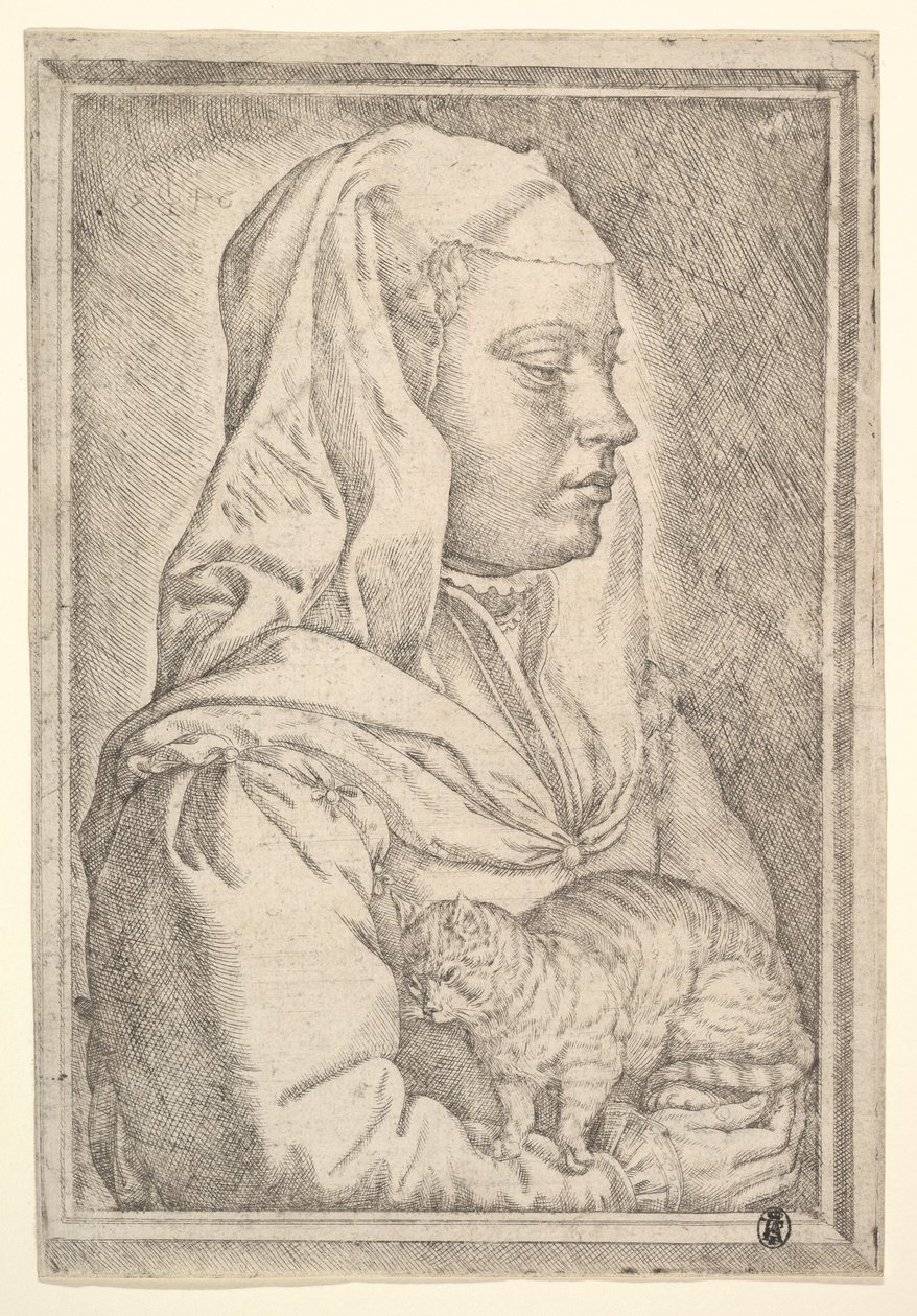 猫を持つ少女、1546年。 作： ヤン・コルネリス・ヴェルメイエン