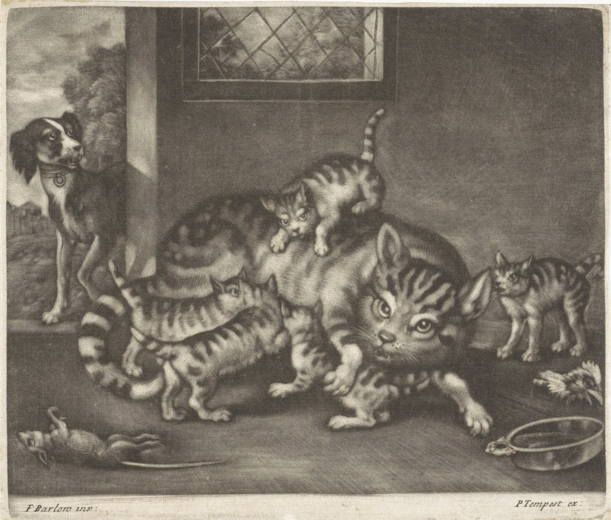 5匹の子を持つ猫 作： ヤン・グリフィエ（I）