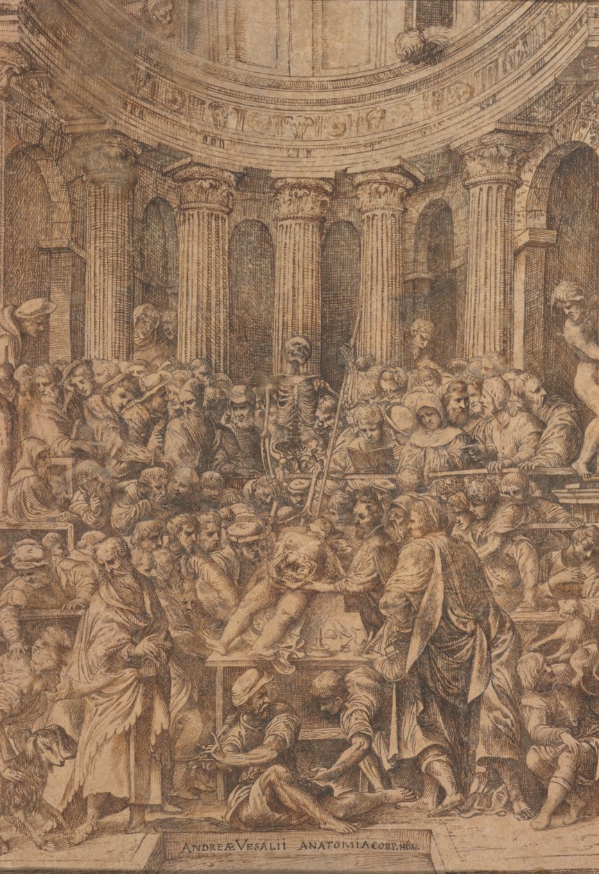  作： ジャン・スティーブン・カルカー