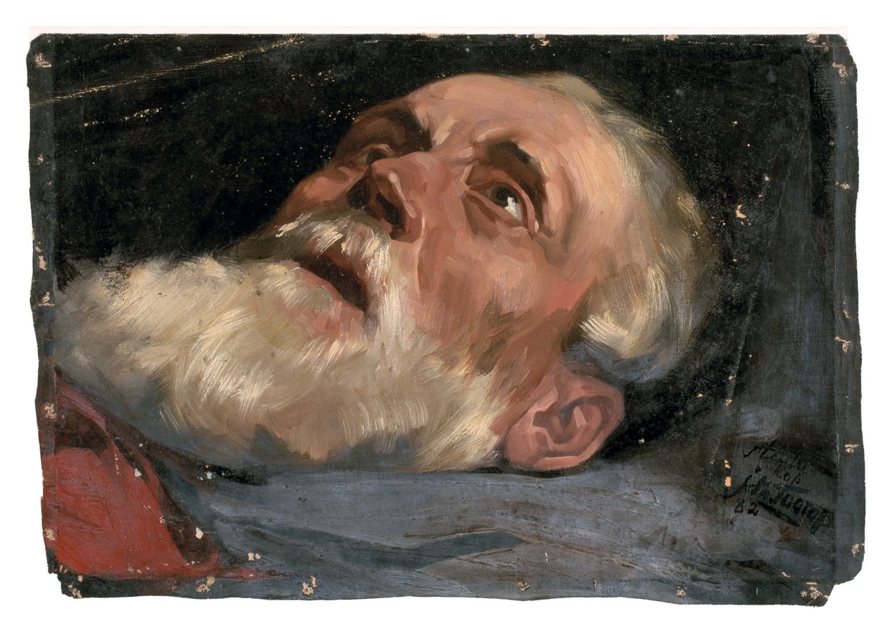 Cabeça de um velho (estudo) 1882 (óleo sobre tela) 作： ヤン・トゥーロップ