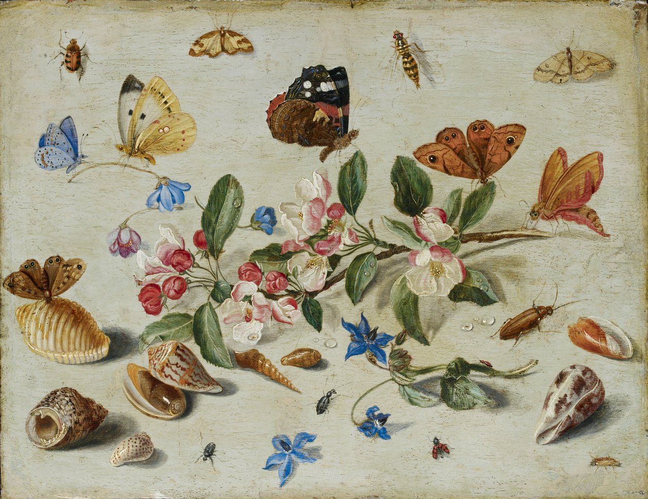 花と昆虫、1650 年代後半または 1660 年代前半 作： ヤン・ファン・ケッセル