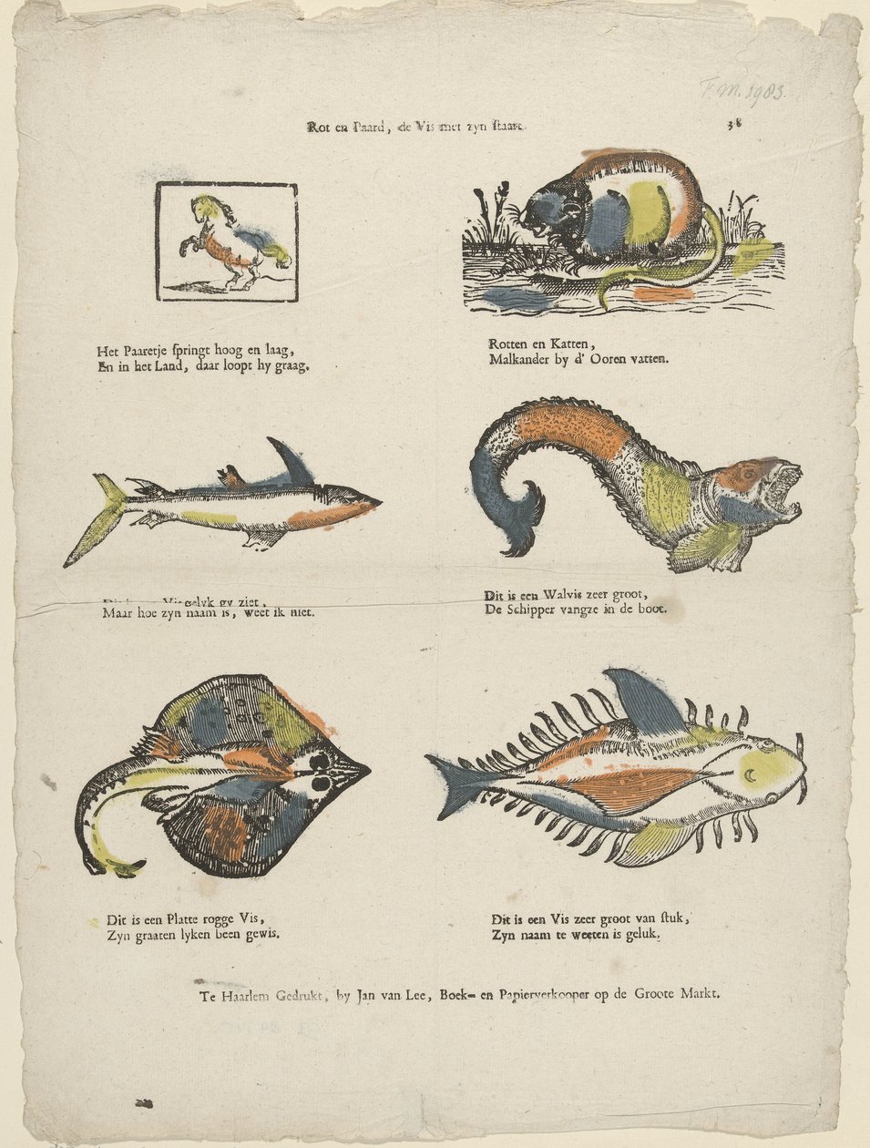 腐った馬、尾のある魚 (オブジェクトのタイトル) 作： ヤン・ヴァン・リー