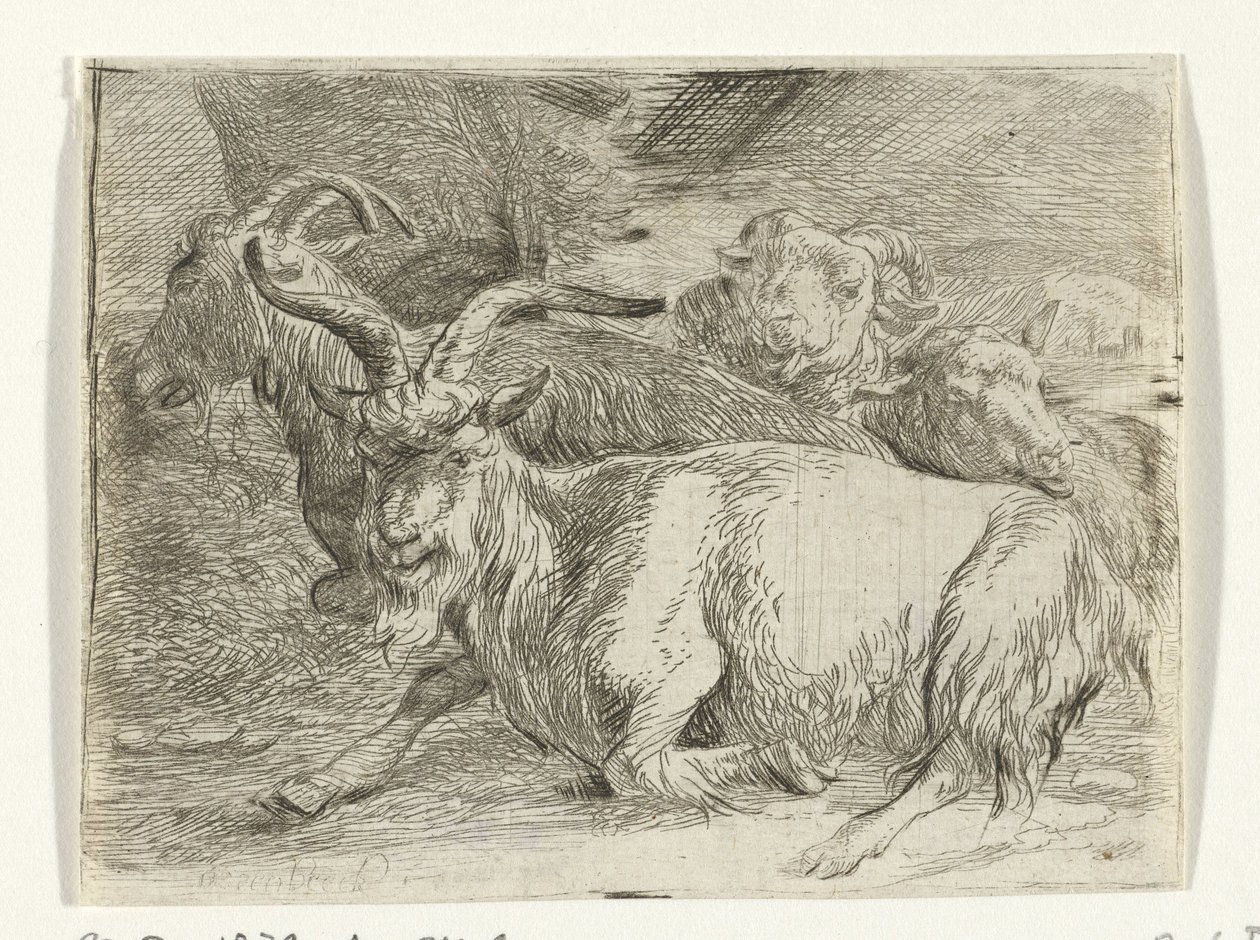 2頭のヤギと2頭の羊 作： Jan van Ossenbeeck