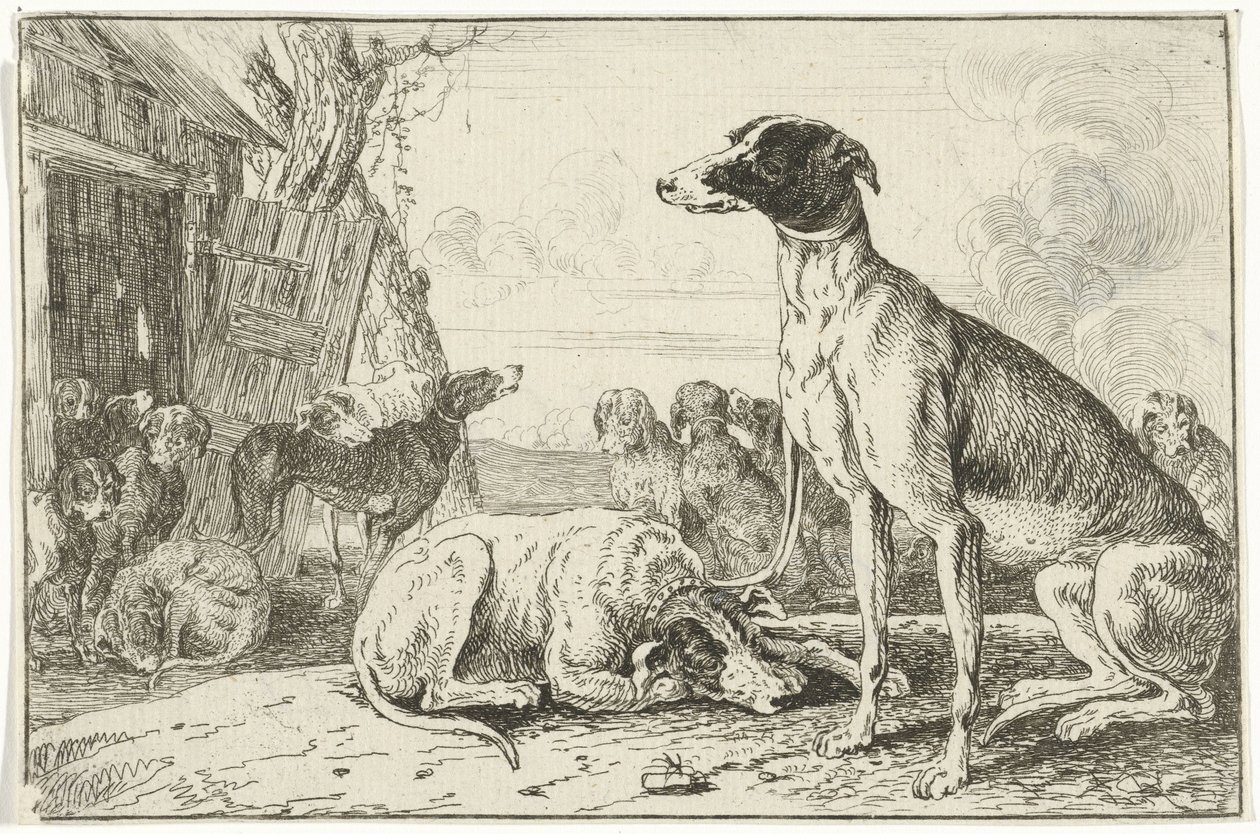犬小屋 動物（シリーズタイトル） ズーグラフィアム（シリーズタイトル） 作： ヤン・ファン・デン・ヘッケ