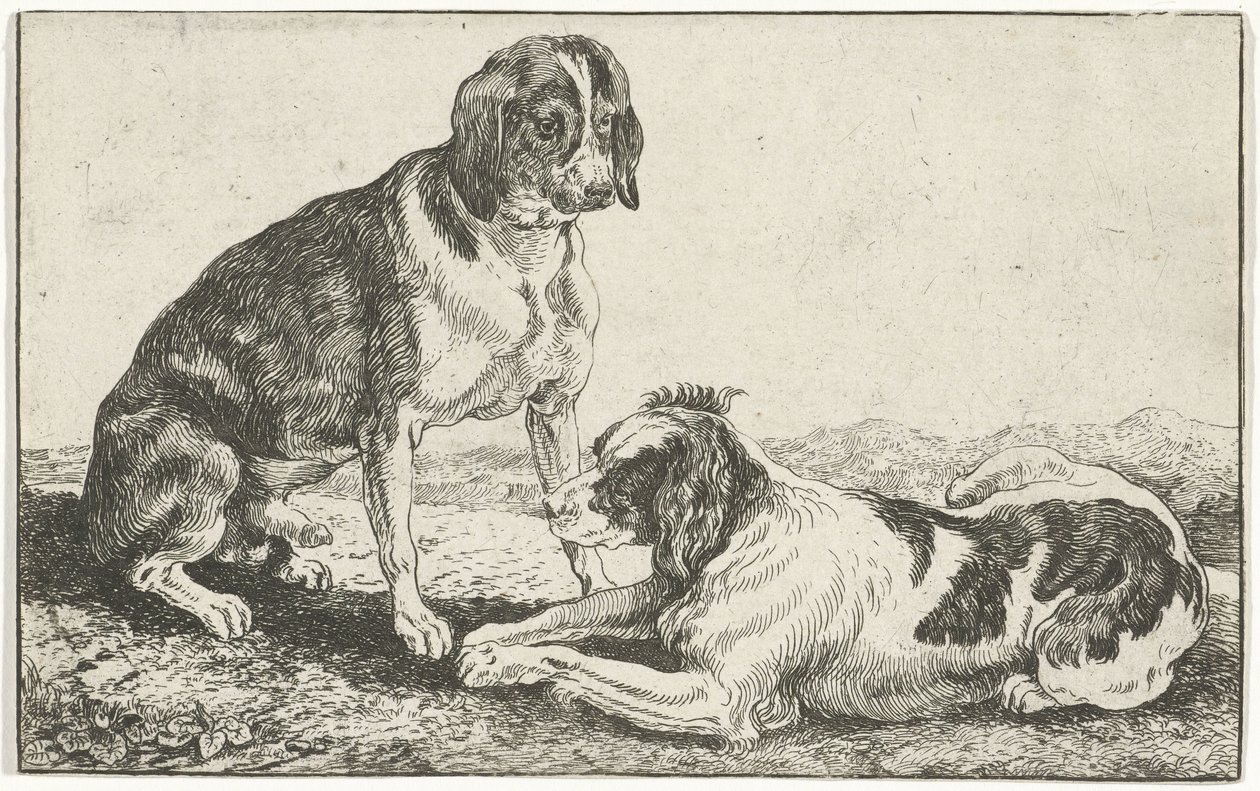 休んでいる 2 匹の犬 動物（シリーズタイトル） ズーグラフィアム（シリーズタイトル） 作： ヤン・ファン・デン・ヘッケ