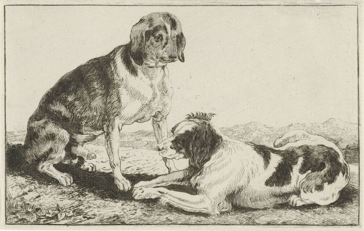 休んでいる 2 匹の犬 動物（シリーズタイトル） ズーグラフィアム（シリーズタイトル） 作： ヤン・ファン・デン・ヘッケ