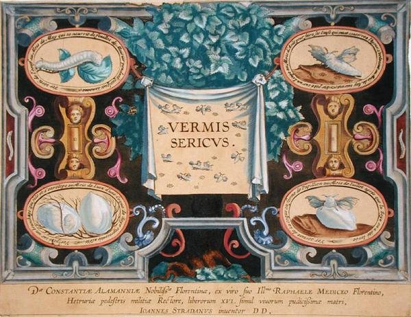 テオドール・ガレ(1571-1633)の「Vermis Sericus(蚕)」の扉(エングレーヴィング) 作： ヤン・ファン・デル・ストレイト