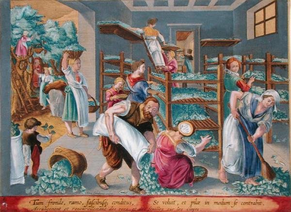 蚕のために桑の葉を棚に並べる女性たち フィリップ・ガレ（1537-1612）の「Vermis Sericus（蚕）」より第5図（版画）。 作： ヤン・ファン・デル・ストレイト
