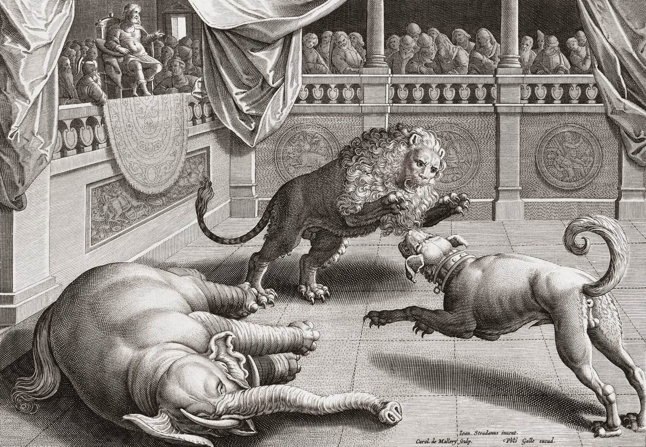 アレクサンドル大王の動物の戦い、16世紀 作： Straetの後のJan van der 1523 1605