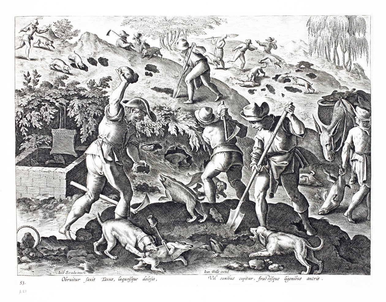 Jan Collaert（1566-1628）によって刻まれた &39;Venationes、Ferarum、Avium、Piscium&39;（Of Hunting：Wild Beasts、Birds、Fish）のイラストから、アナグマを掘り出して捕らえました。フィリップス・ガレウス、アムス 作： ヤン・ファン・デル・ストレイト