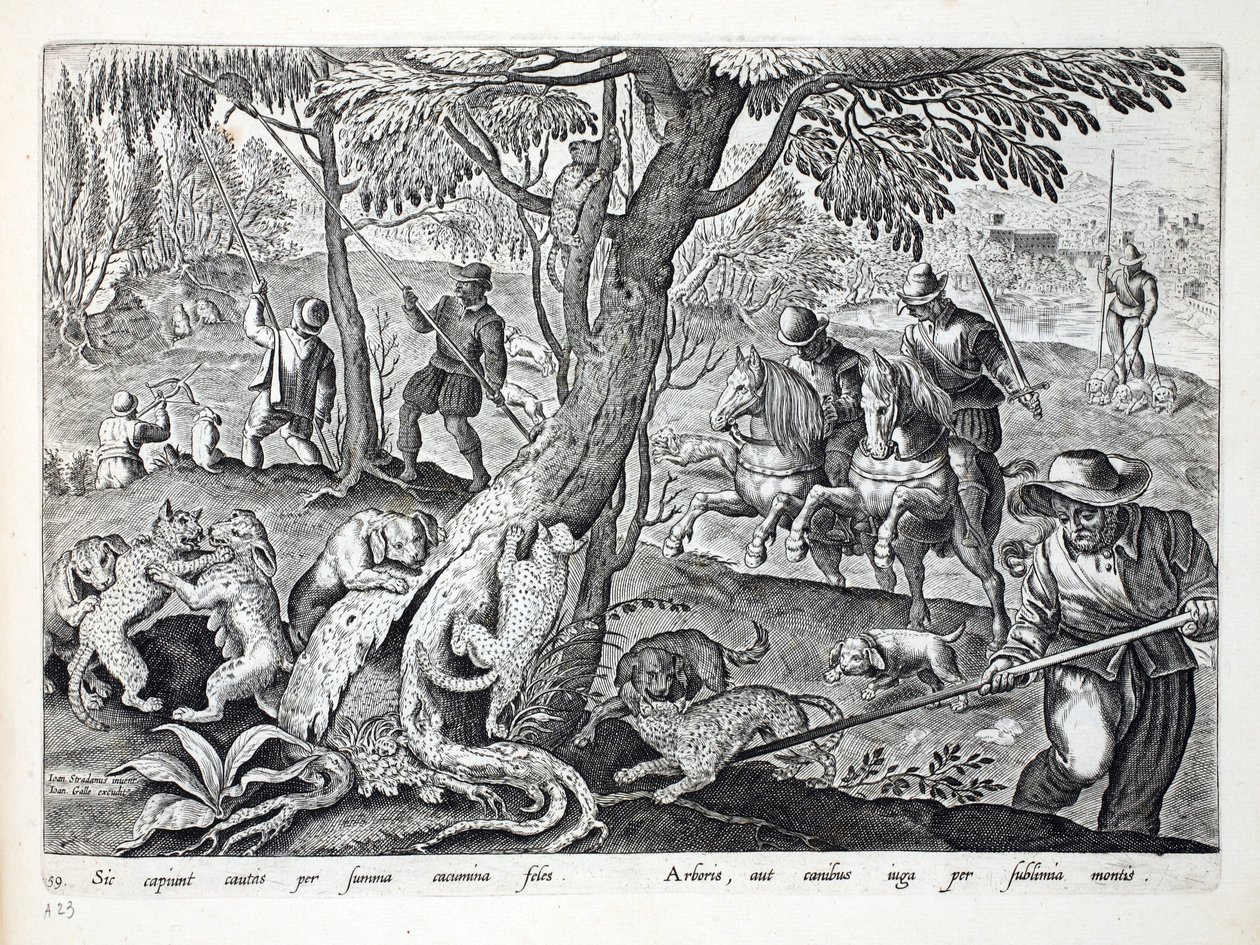 Jan Collaert（1566-1628）によって刻まれた &39;Venationes、Ferarum、Avium、Piscium&39;（Of Hunting：Wild Beasts、Birds、Fish）からのイラスト、犬と一緒に猫を狩猟、パブ。 Phillipus Gallaeus、アムステルダム（eng 作： ヤン・ファン・デル・ストレイト