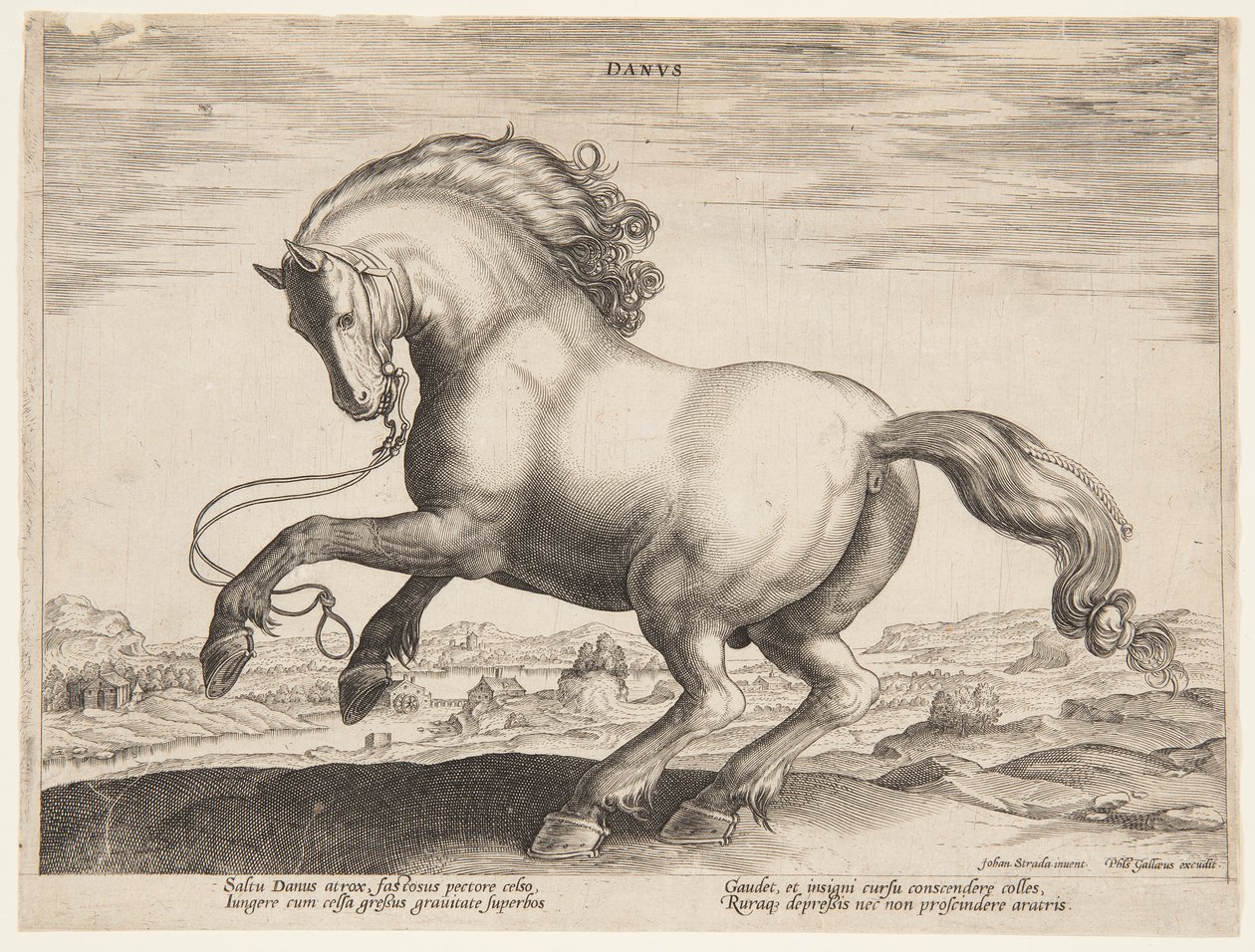 「Equile Joannis Austriaci」の第 4 セットからのデンマークの馬 作： ヤン・ファン・デル・ストラート、通称ストラダヌス