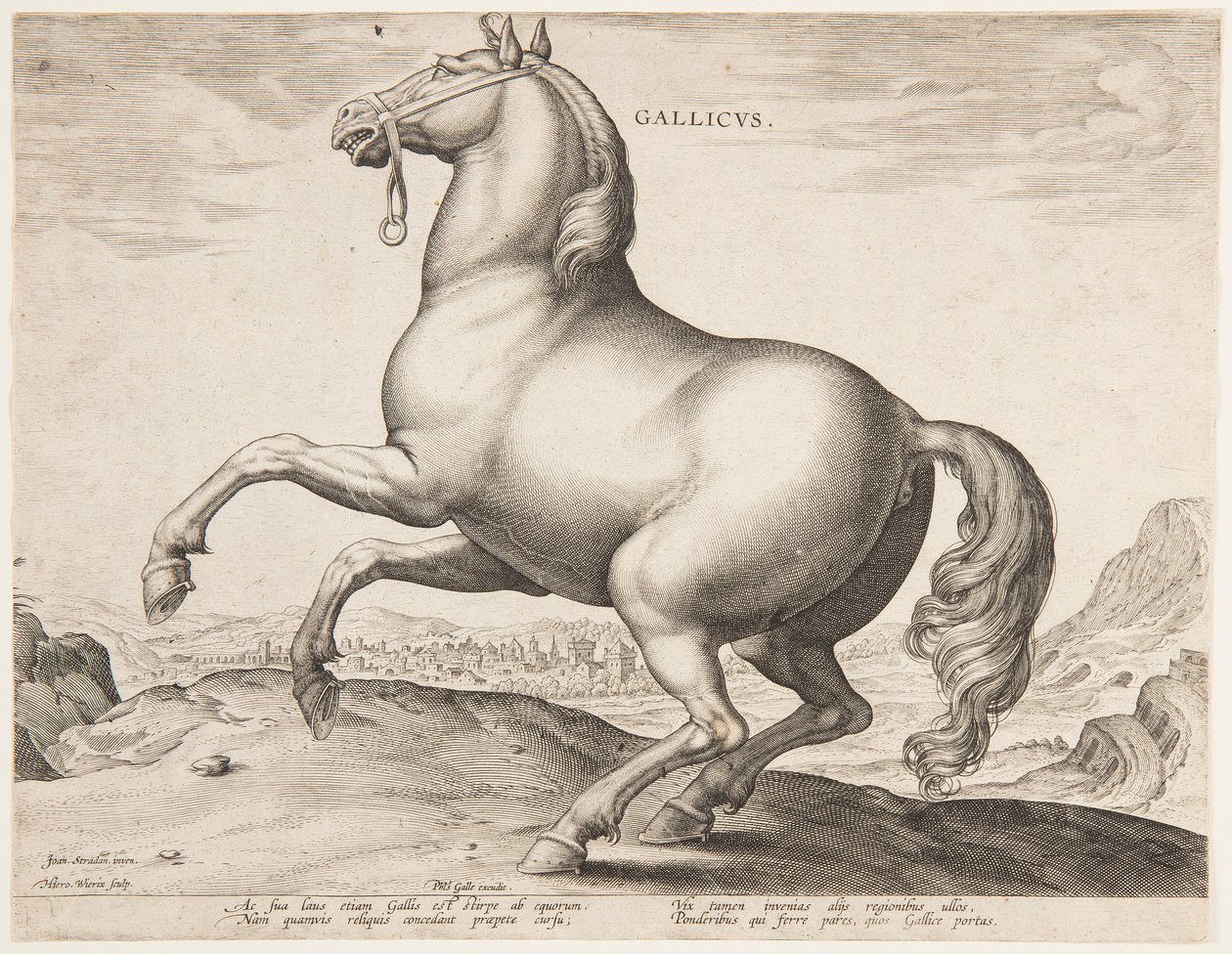 「Equile Joannis Austriaci」の最初のセットのフランスの馬 作： ヤン・ファン・デル・ストラート、通称ストラダヌス