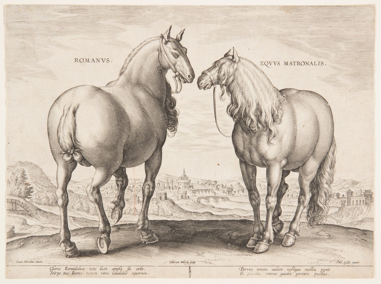 「Equile Joannis Austriaci」の最初のセットのローマの馬 作： ヤン・ファン・デル・ストラート、通称ストラダヌス