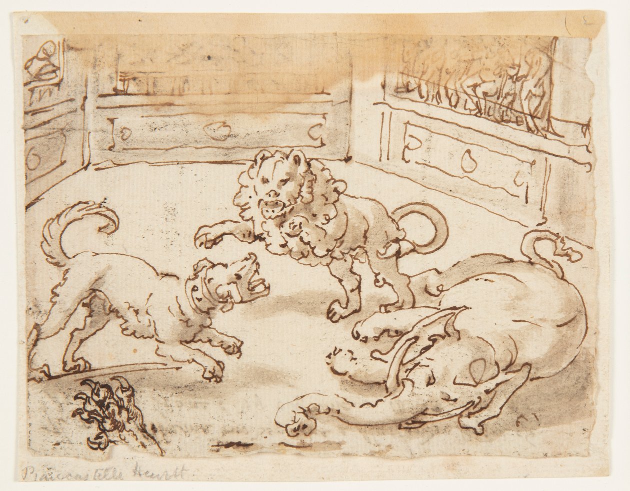 Recto: アレキサンダー大王は、犬と象とライオンの間の戦いを見ています。 Verso: Verso: Pliny the Elder