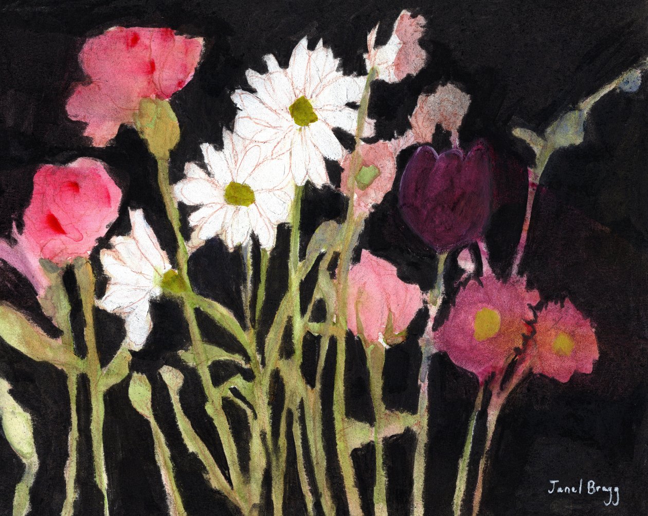 ヒナギクの花、2024年頃（木炭、水彩、カゼイン、鉛筆、紙） 作： ジャネル・ブラッグ