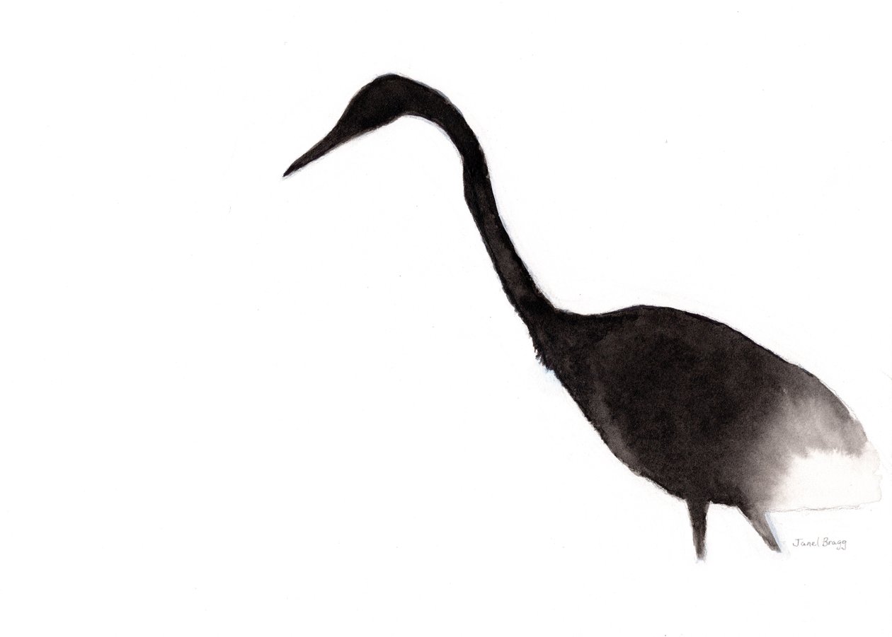  作： ジャネル・ブラッグ