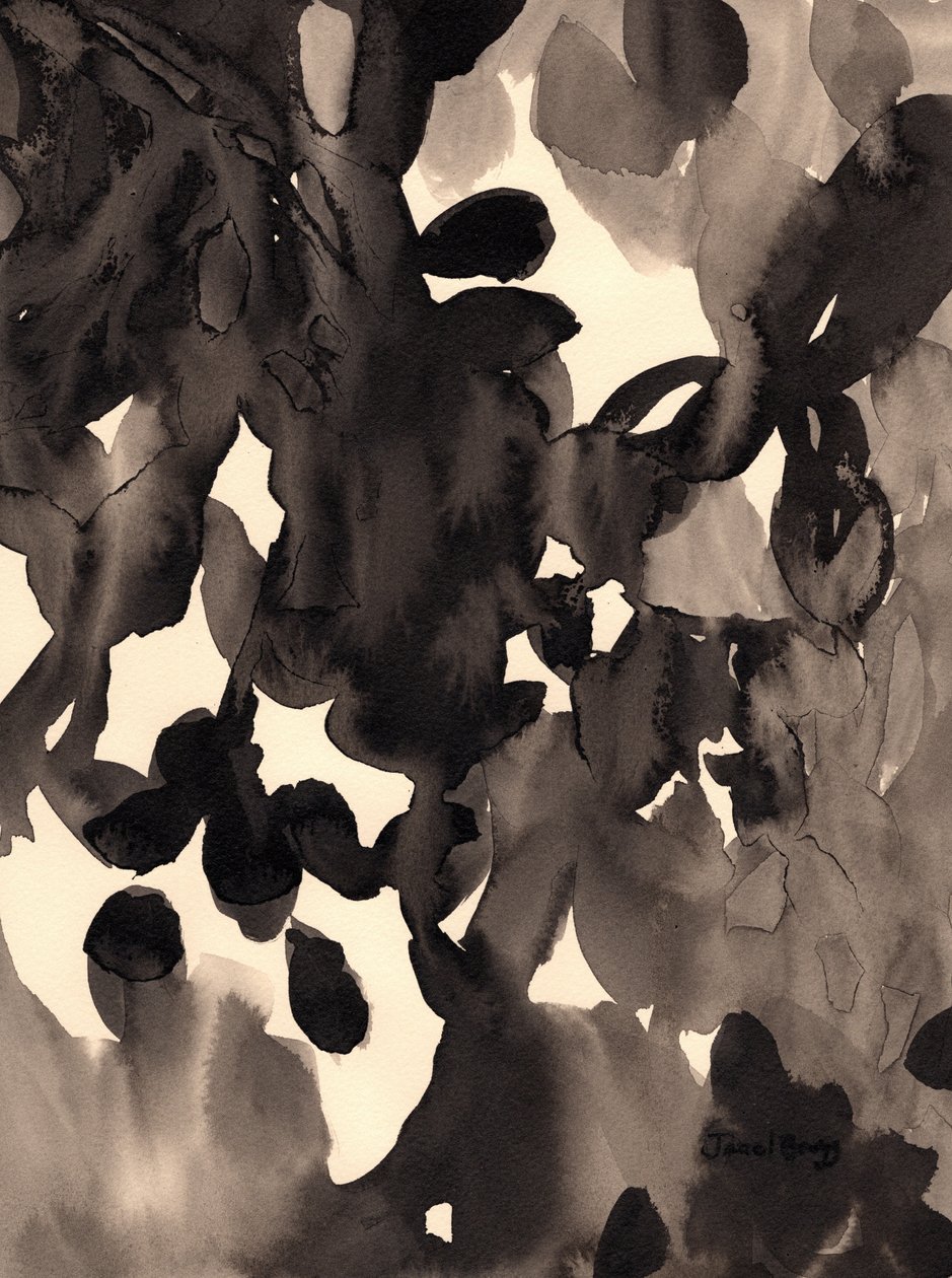 Leaves Abstract in Ink, c.2019 (ink on paper) 作： ジャネル・ブラッグ