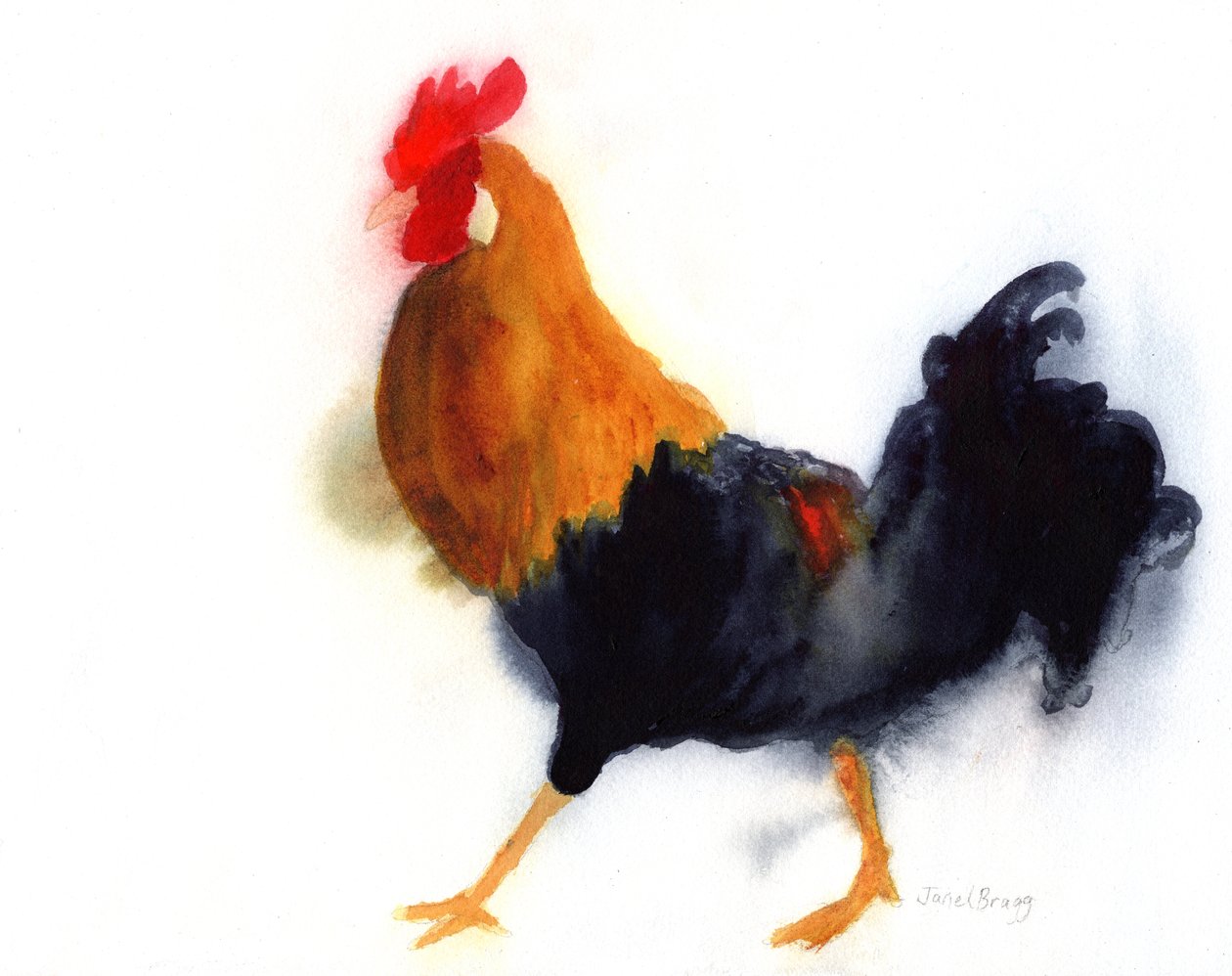  作： ジャネル・ブラッグ