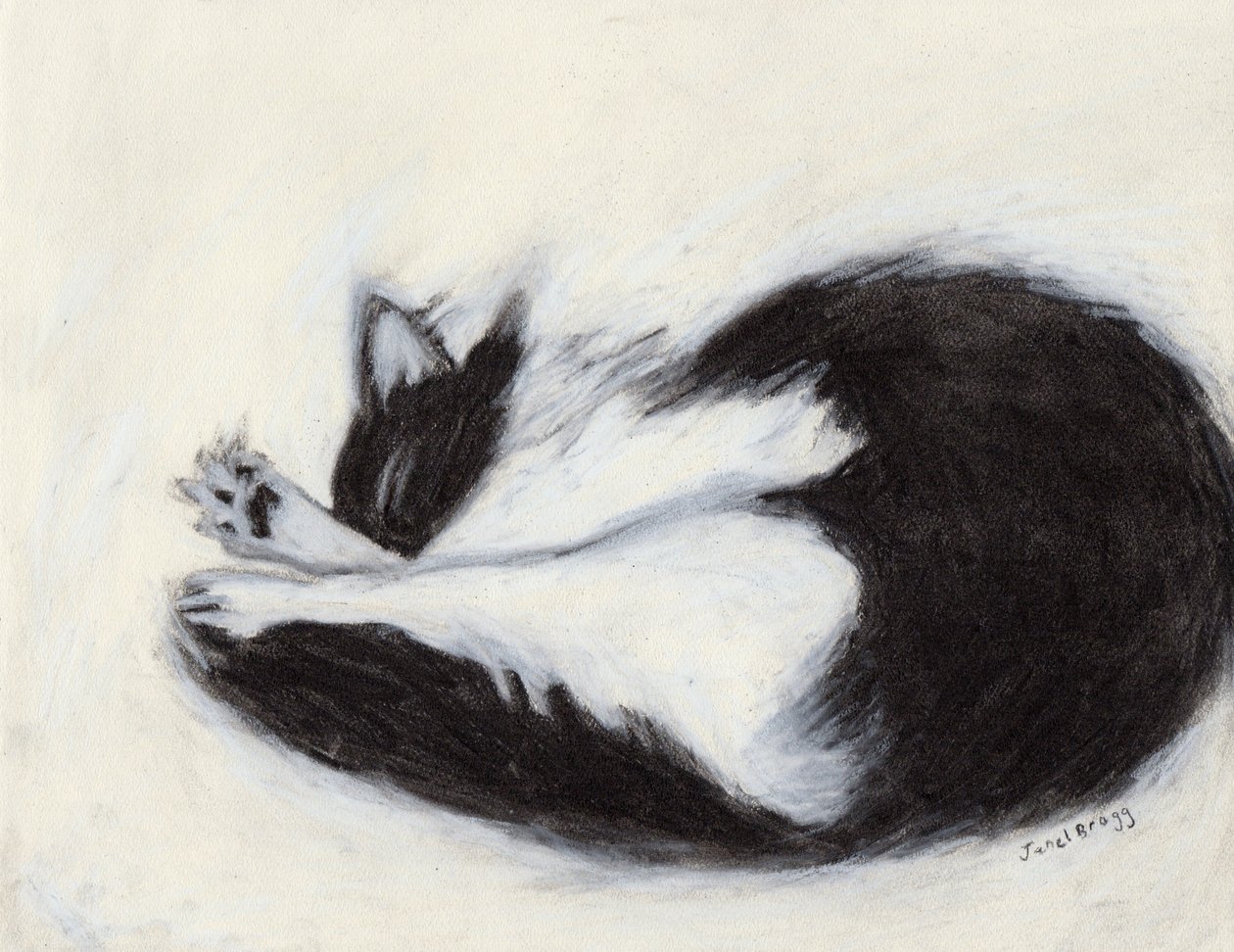 Thomas Taking a Nap, c.2018 （木炭、パステル、紙） 作： ジャネル・ブラッグ